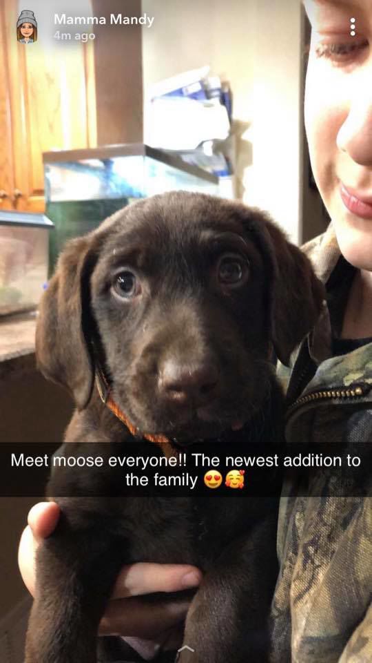 Moose - Mandy Kucera-Pfeil.jpg